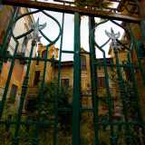 ...e la folta e disordinata vegetazione di cycas, piante di fico e sterpaglie incolte che a stento lasciano intravedere il piazzale di accesso alle scale